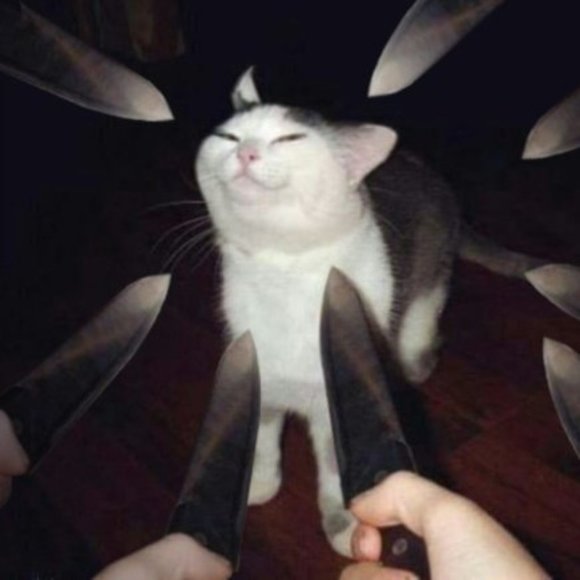 💀 - Picture 1 of 1